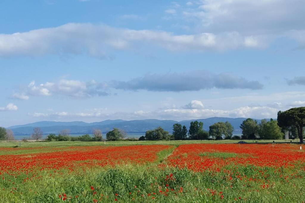 Bellavista La Tua Romantica Vacanza Sul Trasimeno Daire Castiglione del Lago Dış mekan fotoğraf