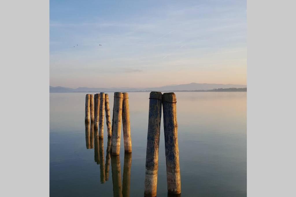 Bellavista La Tua Romantica Vacanza Sul Trasimeno Daire Castiglione del Lago Dış mekan fotoğraf