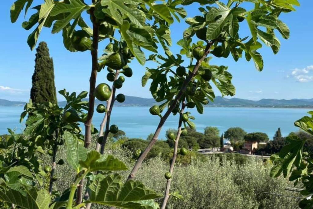 Bellavista La Tua Romantica Vacanza Sul Trasimeno Daire Castiglione del Lago Dış mekan fotoğraf