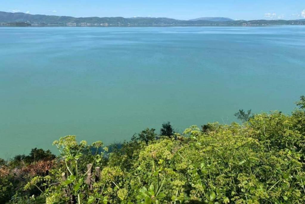 Bellavista La Tua Romantica Vacanza Sul Trasimeno Daire Castiglione del Lago Dış mekan fotoğraf