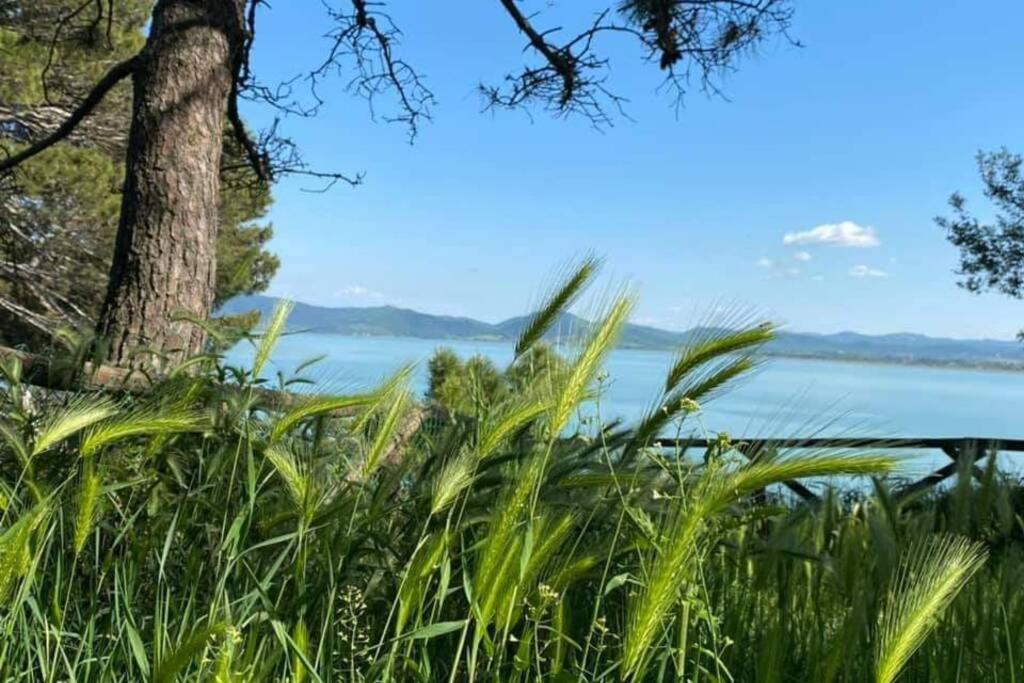 Bellavista La Tua Romantica Vacanza Sul Trasimeno Daire Castiglione del Lago Dış mekan fotoğraf