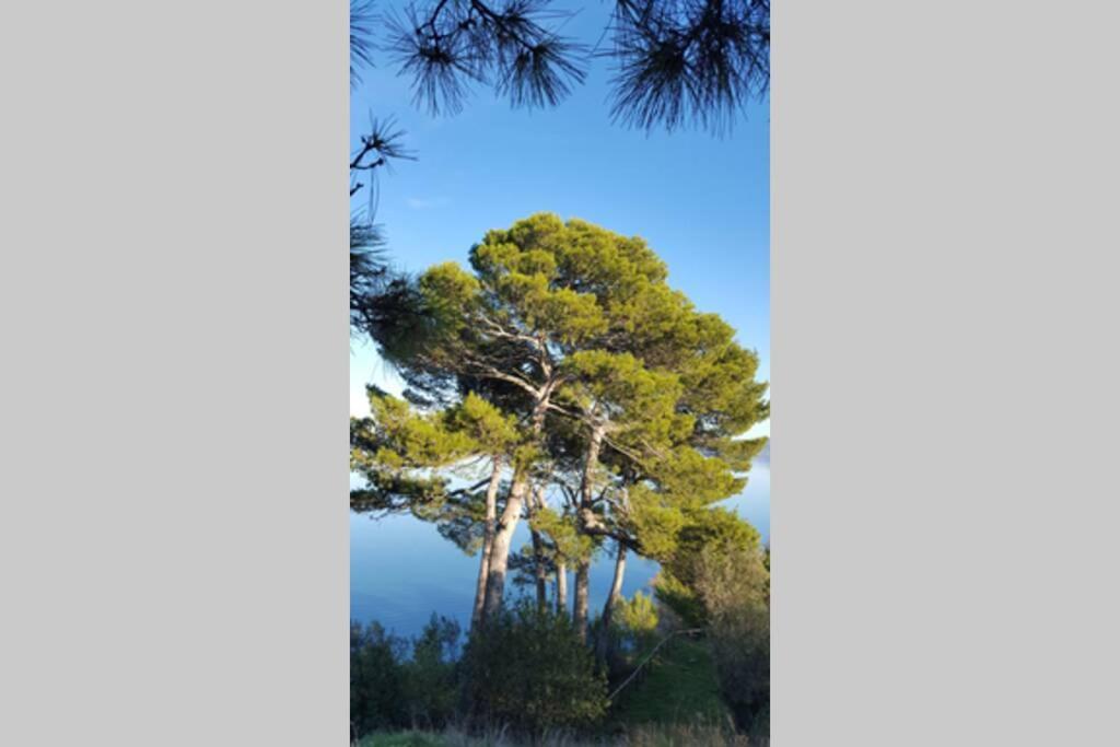 Bellavista La Tua Romantica Vacanza Sul Trasimeno Castiglione del Lago Dış mekan fotoğraf