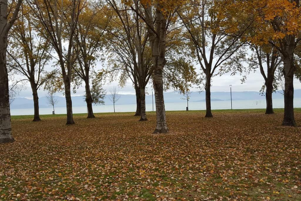 Bellavista La Tua Romantica Vacanza Sul Trasimeno Daire Castiglione del Lago Dış mekan fotoğraf