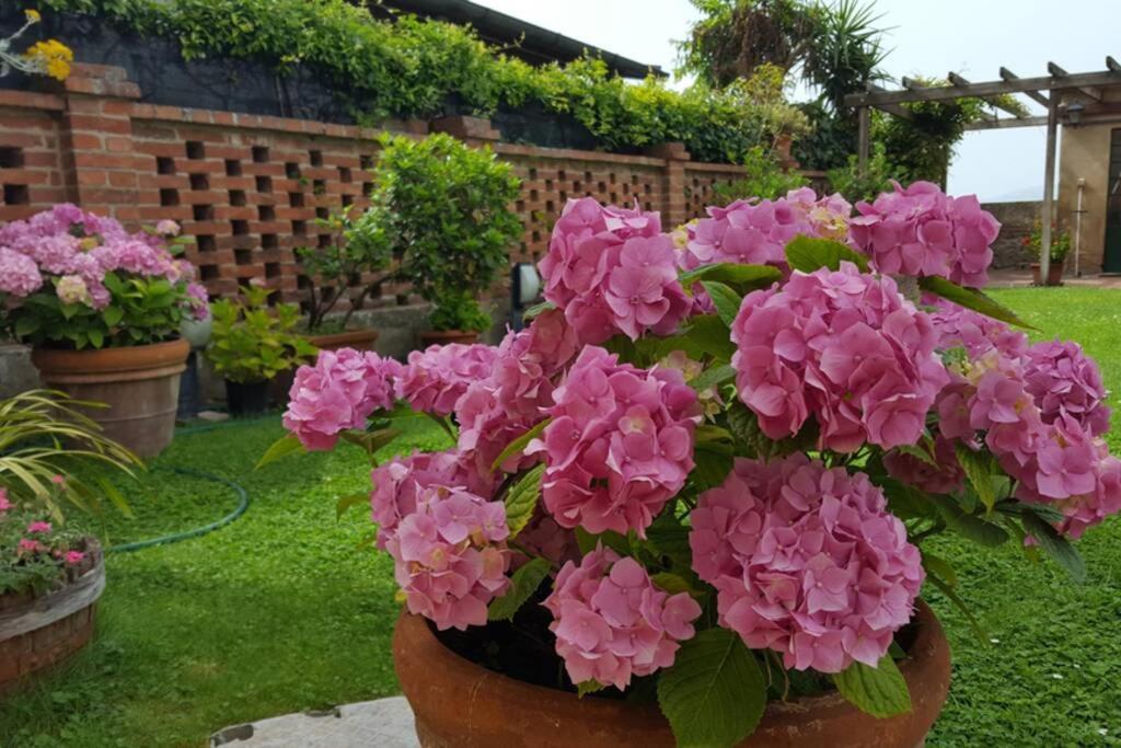 Bellavista La Tua Romantica Vacanza Sul Trasimeno Castiglione del Lago Dış mekan fotoğraf