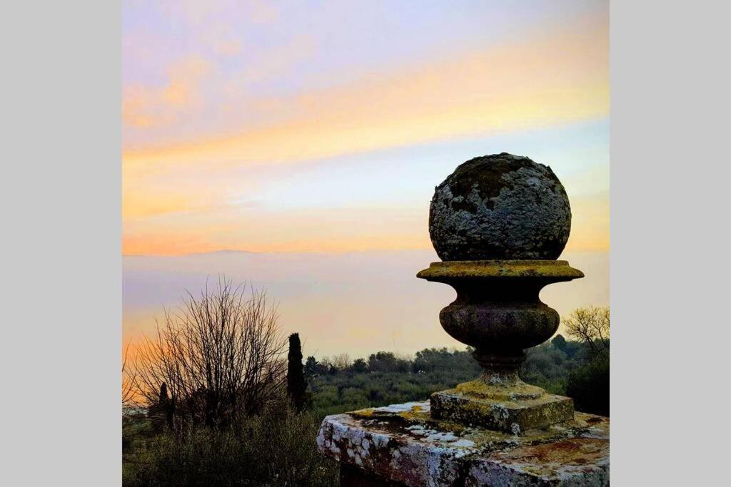 Bellavista La Tua Romantica Vacanza Sul Trasimeno Daire Castiglione del Lago Dış mekan fotoğraf