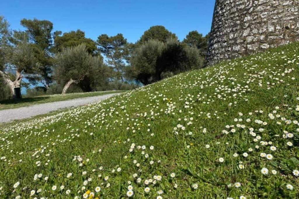 Bellavista La Tua Romantica Vacanza Sul Trasimeno Daire Castiglione del Lago Dış mekan fotoğraf