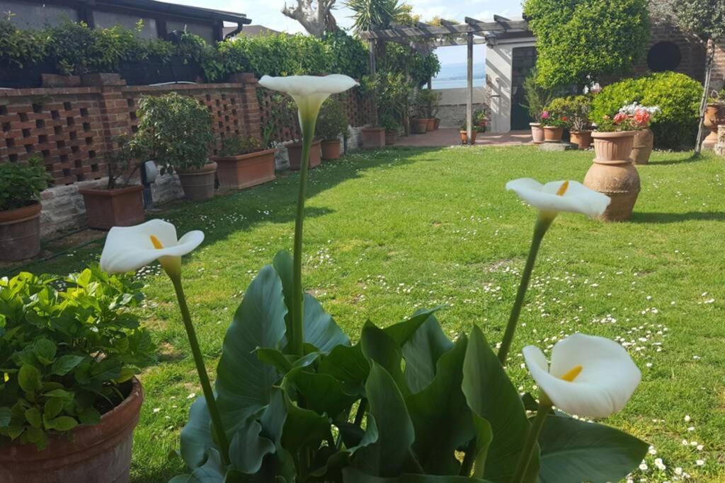 Bellavista La Tua Romantica Vacanza Sul Trasimeno Daire Castiglione del Lago Dış mekan fotoğraf