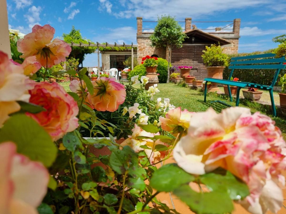 Bellavista La Tua Romantica Vacanza Sul Trasimeno Castiglione del Lago Dış mekan fotoğraf