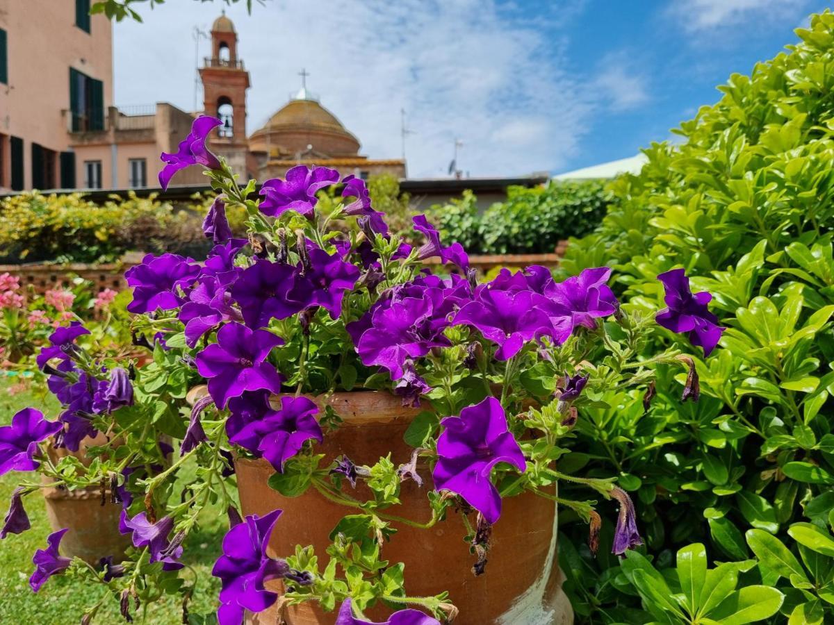 Bellavista La Tua Romantica Vacanza Sul Trasimeno Daire Castiglione del Lago Dış mekan fotoğraf