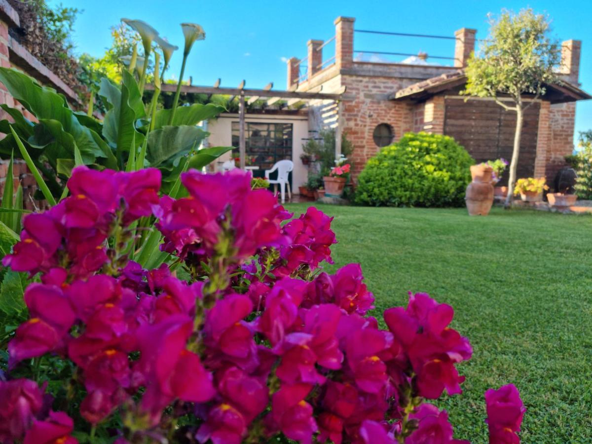 Bellavista La Tua Romantica Vacanza Sul Trasimeno Castiglione del Lago Dış mekan fotoğraf